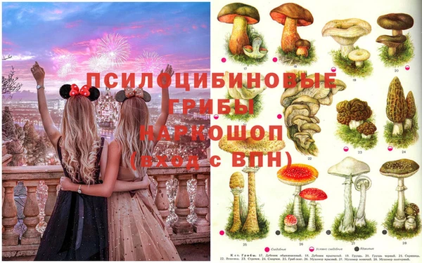 Альфа ПВП Нефтегорск