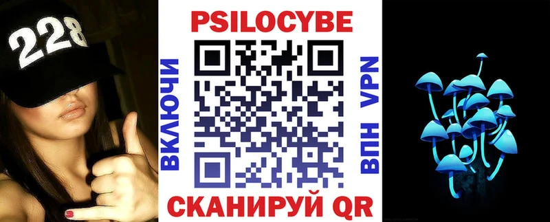 где можно купить наркотик  Шлиссельбург  Галлюциногенные грибы Cubensis 